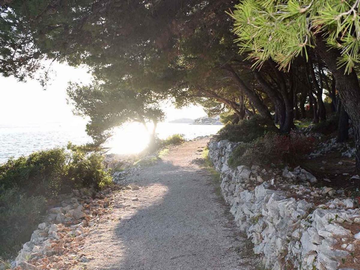 Apartments Katarina Trogir Dış mekan fotoğraf